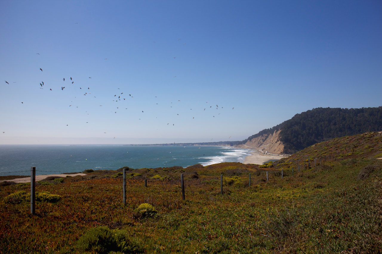 california highway 1