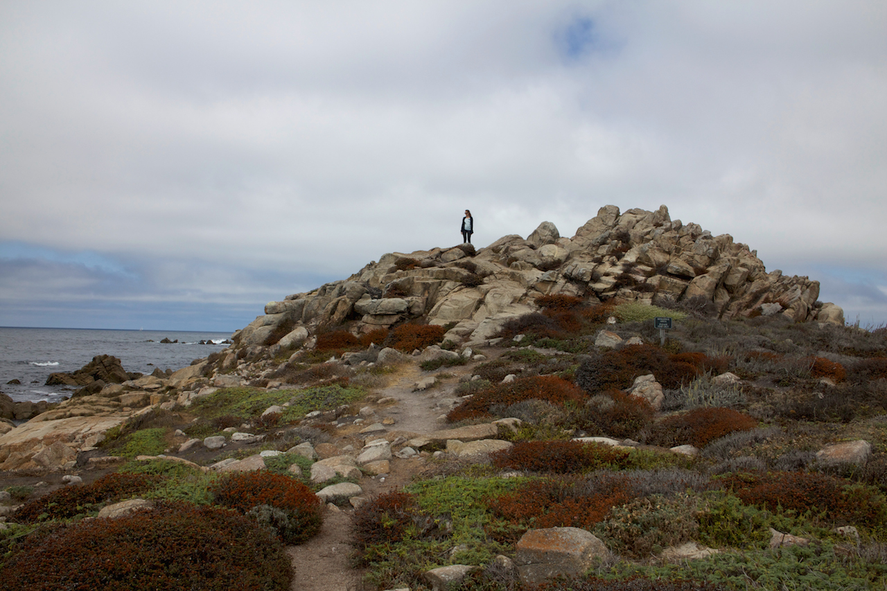 monterey china rock