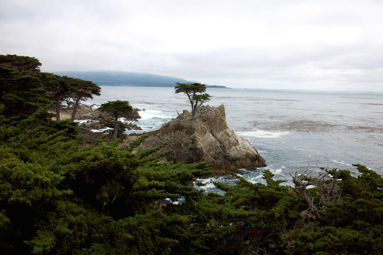 monterey cypress point lookout