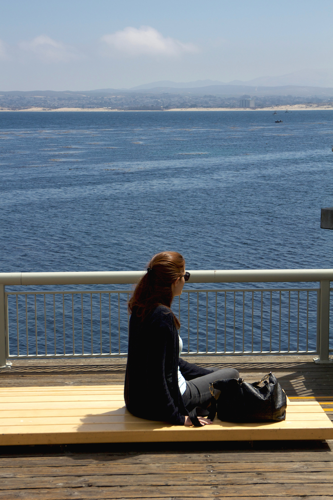 monterey harbor