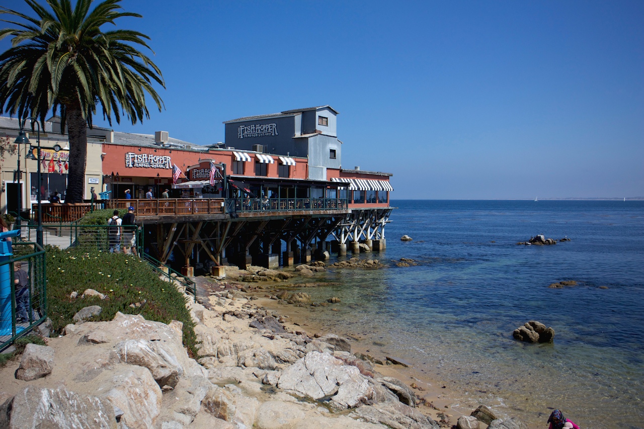 monterey harbor