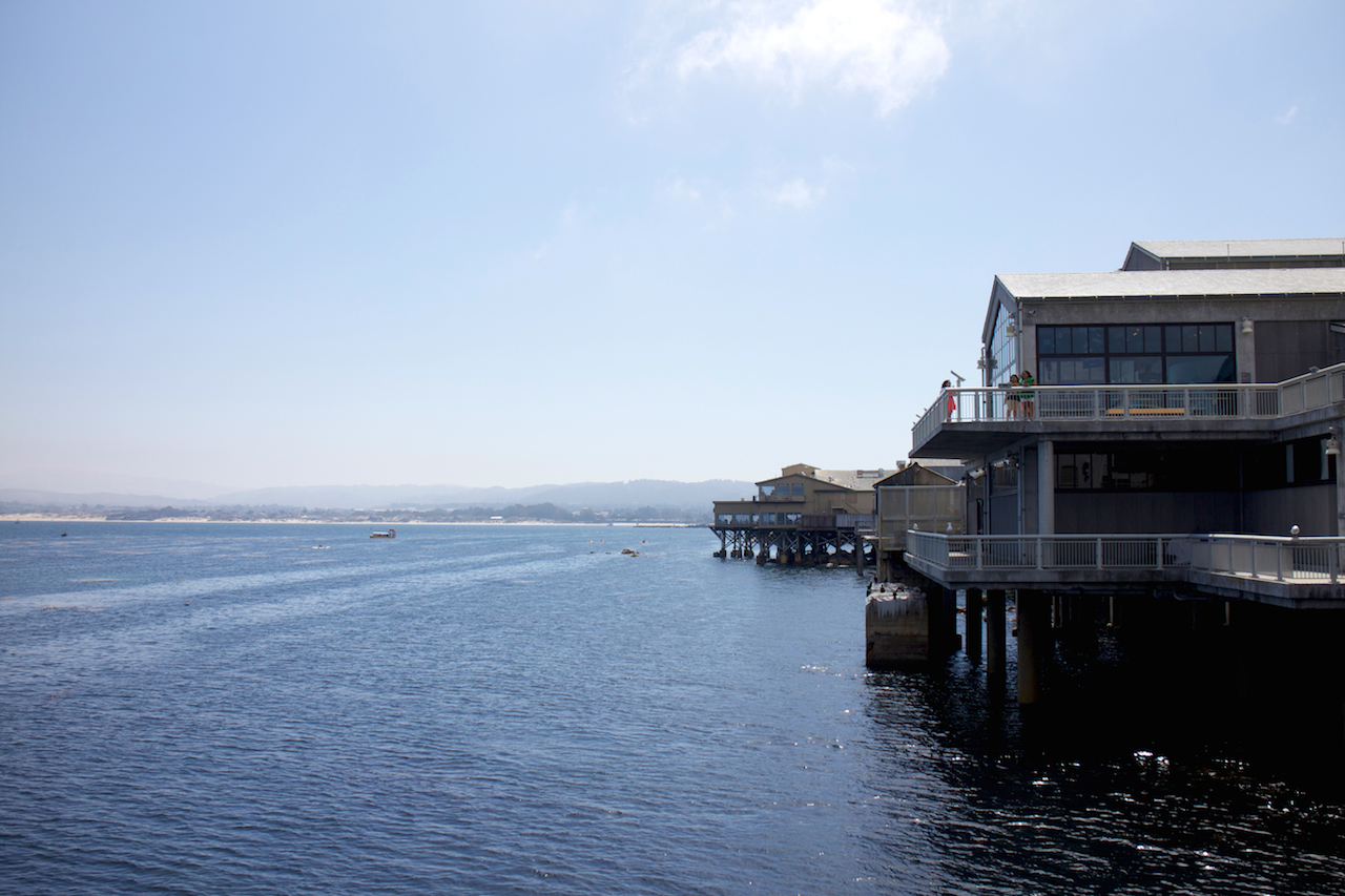 monterey harbor