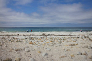 monterey pebble beach