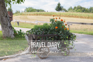 travel diary slovenia